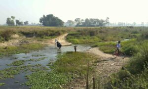 Chorten India Kushinagar 537