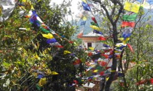 Chorten Nepal Kathmandu Pharphing -md