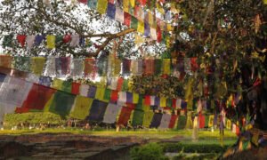 chorten Lumbini 1403 (68) md - 4