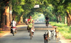 Chorten India Auroville roads