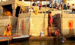 Chorten Varanasi 628 corte 8 v8 md