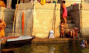 Chorten Varanasi 628 corte 8 v8 md horiz