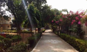 Chorten India Bodhgaya Root 2 md