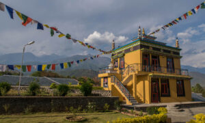 Jetsuma Tenzin Palmo Nunnery (3)