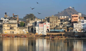 Chorten Pushkar (25) lago templos passaros md