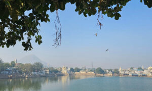 Chorten Pushkar (31) lago arvore md