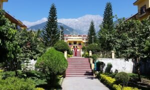 Dharamsala 8