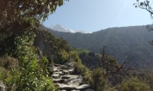 Dharamsala Triund 1