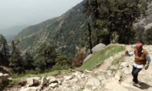 Dharamsala Triund 2
