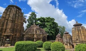 Chorten Bhubaneswar Orissa (2)
