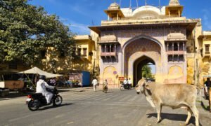 Chorten Jaipur 25 (12) (1)