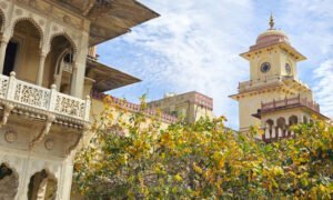 Chorten Jaipur 25 (9) (1)