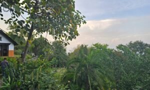 Namo Buddha Chorten (4)