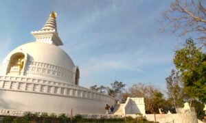 Chorten Rajgir Nalanda (2)