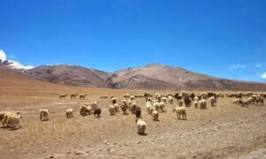 Chorten Saga Tibete