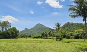 Chorten Tiruvannamalai (13) b