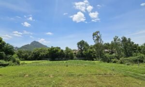 Chorten Tiruvannamalai (14) b