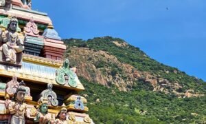 Chorten Tiruvannamalai (20) b