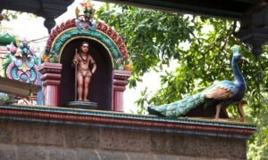 Ilka Chennai 02 (2) b