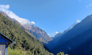 ABC Nepal Bamboo (4) b