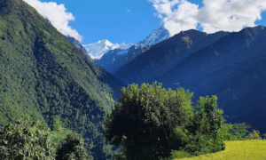 ABC Nepal Chomrong a (3) b