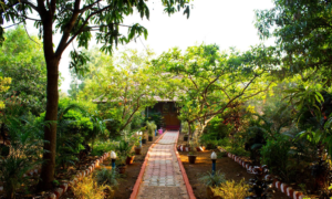 Lonavala Lonavla 2