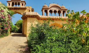 Alwar 4
