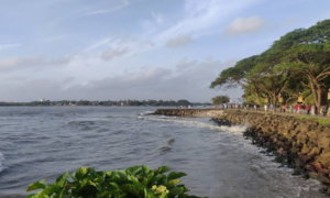 Kochi 03