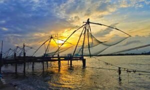 Kochi 20 b