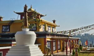 Chorten Dharamsala (4)