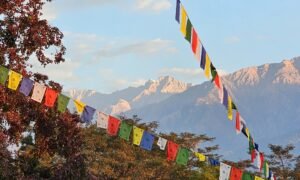 Chorten Dharamsala (8)