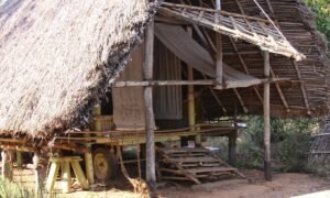 Auroville 4