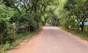 Chorten Auoville St