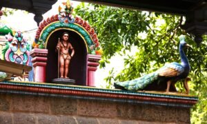 Ilka-Chennai-02-2-b-1
