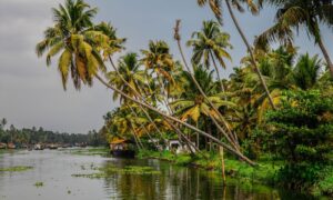 kochi