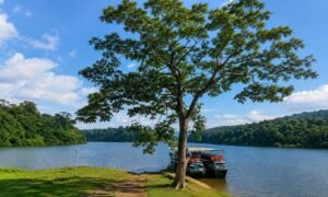 thekkady