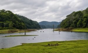 thekkady