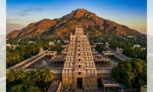 tiruvanamalai6